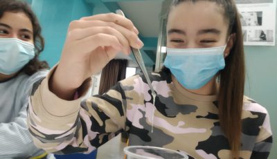 Laboratori Laboratori