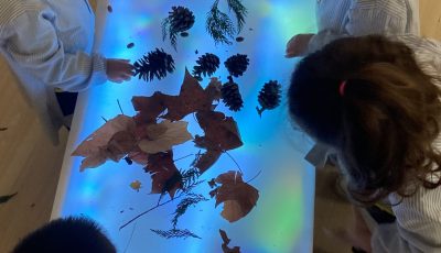 2023_i3_1.1 2023_i3_1.1