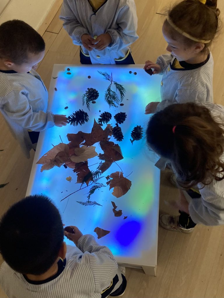 Ara que comença a fer fred i es fa fosc més d’hora, a I3 aprofitem per observar de ben a prop elements de la tardor que entre tots hem portat a l’aula. Amb la taula de llum tot pren un caire més màgic i especial, tot es veu diferent i parem més atenció! Ens encanta compartir aquests moments junts.