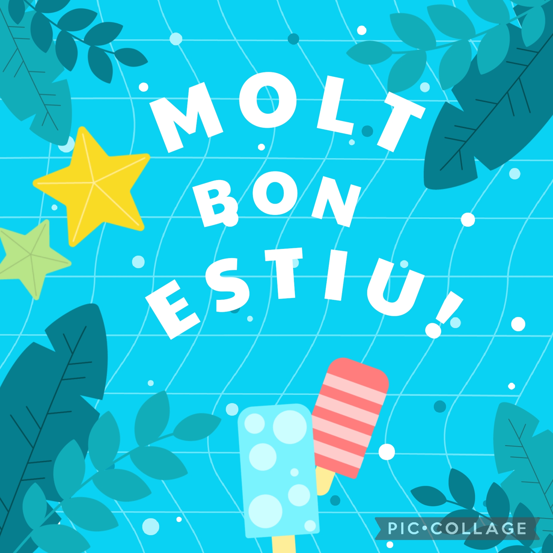 Molt bon estiu!