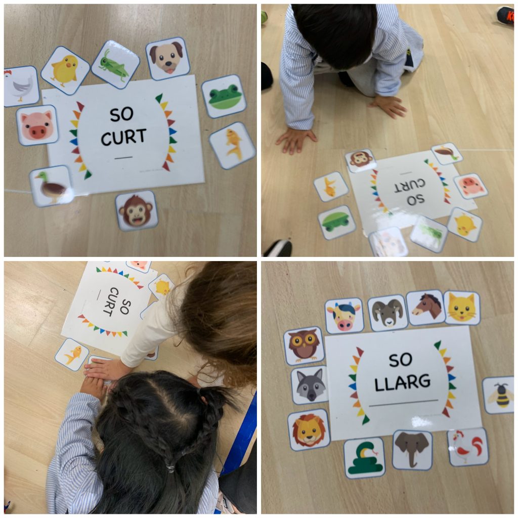 A l’aula de música fomentem l’aprenentatge a través del joc, el moviment i l’expressió. En aquesta proposta, els infants han descobert la diferència entre el so curt i el so llarg d’una manera vivencial i molt divertida.